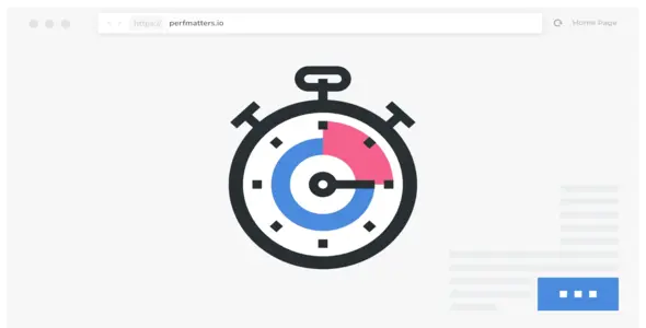 Perfmatters WordPress Plugin