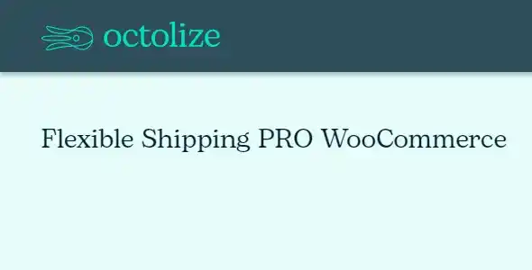 Flexible Shipping PRO WooCommerce