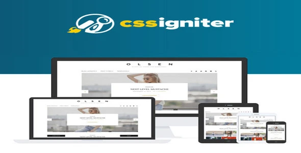 CSS Igniter Olsen Pro WordPress Theme