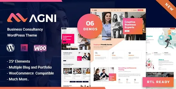 Agni  - Consulting Business Theme