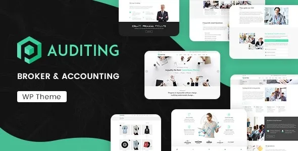 Auditing  - Accounting Consultant, Finance WordPress Theme