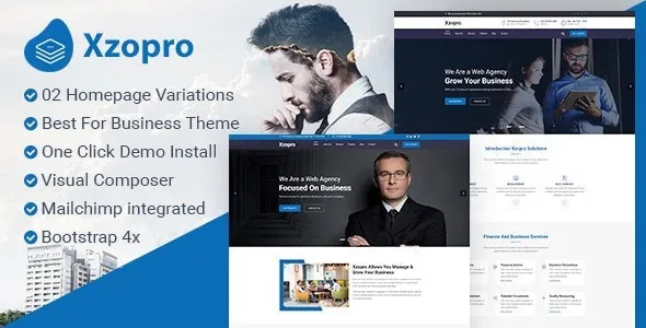 Xzopro  – Finance And Business WordPress Theme