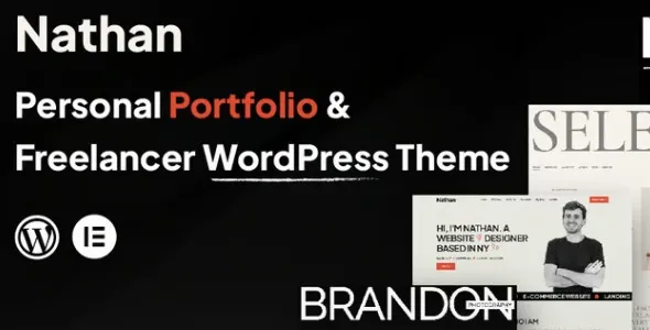 Nathan  - Personal Portfolio WordPress Theme