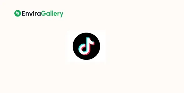 Envira Gallery TikTok Addon