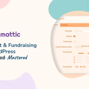 Paymattic Pro WordPress Payment and Donation