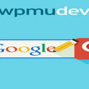 WPMU DEV Custom Google Search